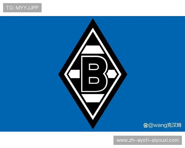 德甲球队为何不热衷砸钱引援？经营模式揭秘